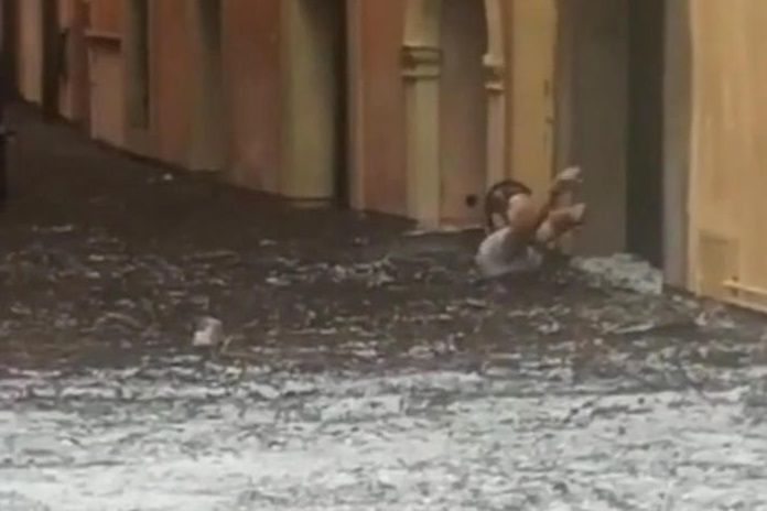 Daniele Iattarelli, l'odontotecnico con l'acqua alla gola nella foto simbolo del nubifragio di Verona