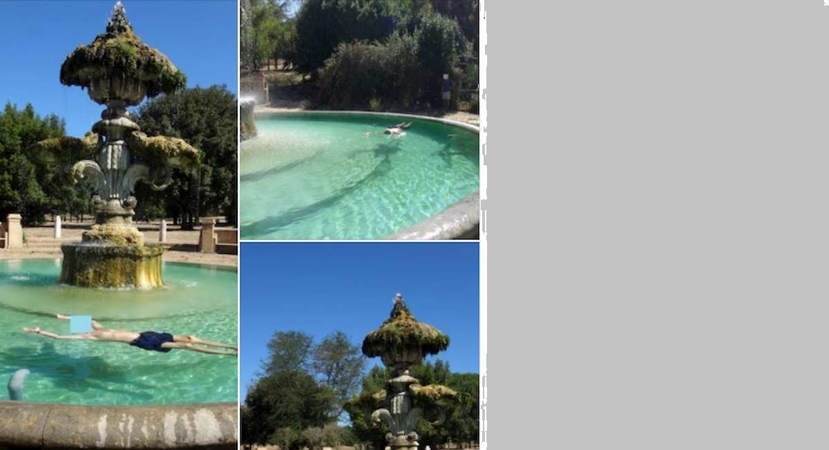 Morto a galla nella fontana storica di Villa Pamphili. E sui social lo massacrano