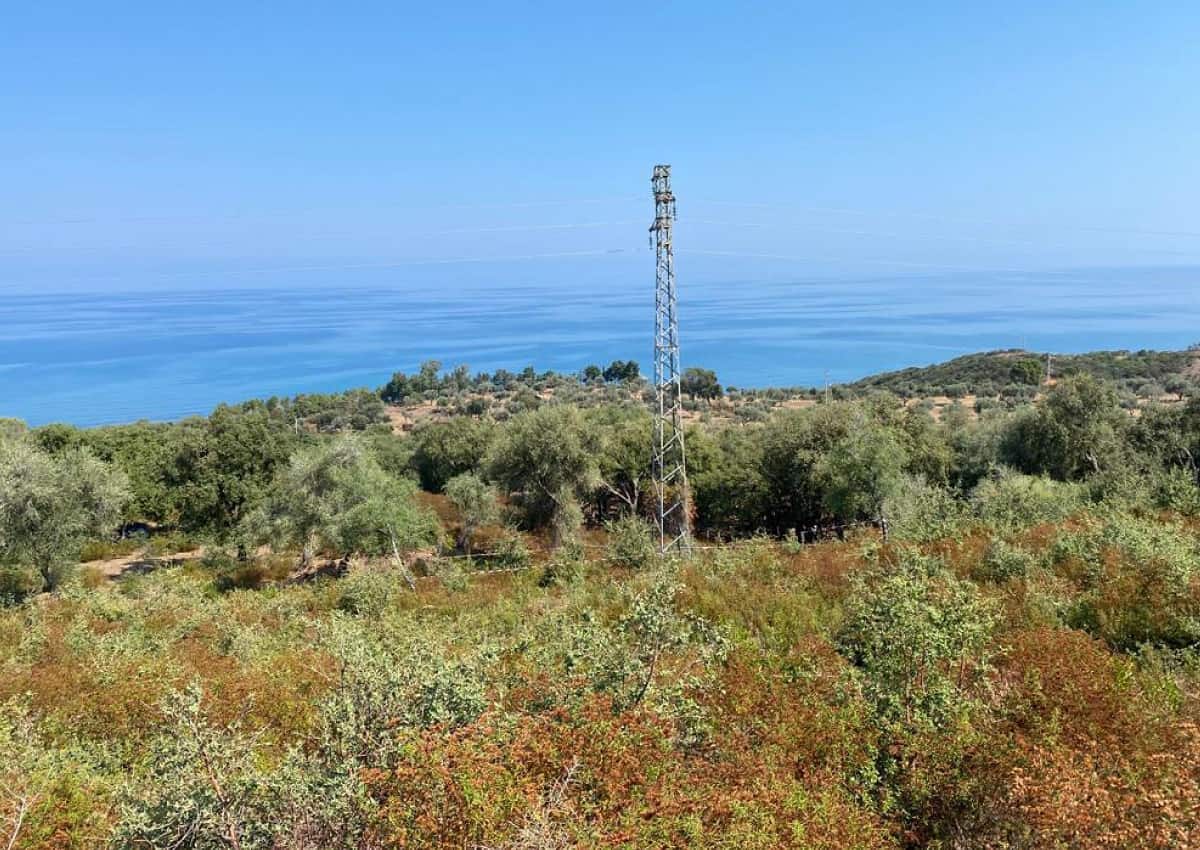 Viviana Parisi, foto Ansa delle ricerche