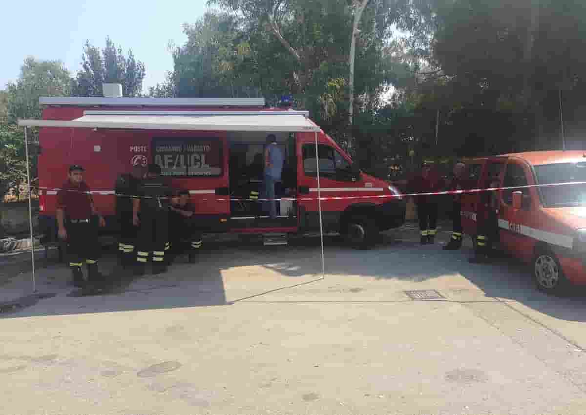 Viviana Parisi, Ansa