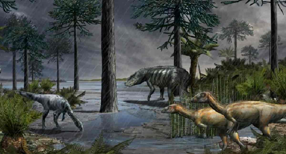Estinzione di massa creò il mondo così come lo conosciamo oggi: quel riscaldamento globale durò un milione di anni