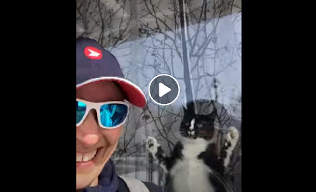 gato attacca la postina in Canada