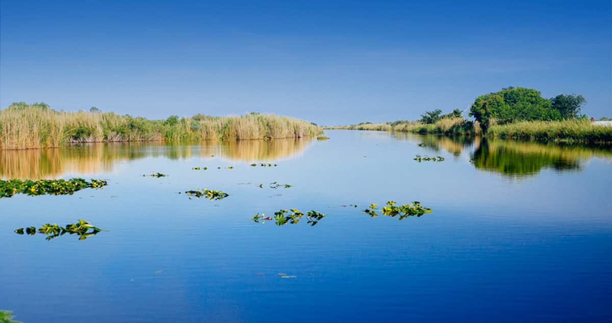 Ameba mangia cervello uccide un ragazzo di 13 anni