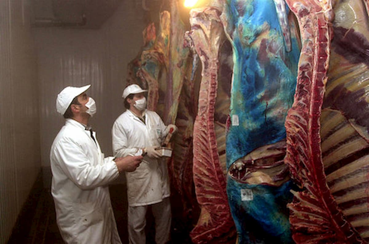 Coronavirus, la presenza di ammoniaca nell'aria ne facilita la diffusione