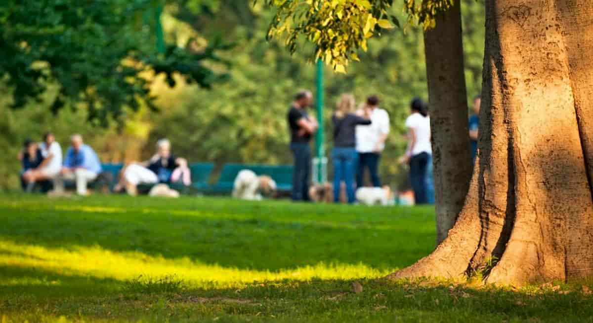 Amore al tempo del Covid, assessorato catalano: "Meglio all'aria aperta"