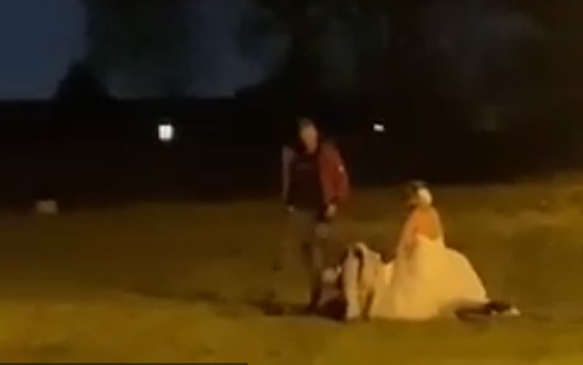 Rissa al matrimonio, sposa ubriaca picchia invitato