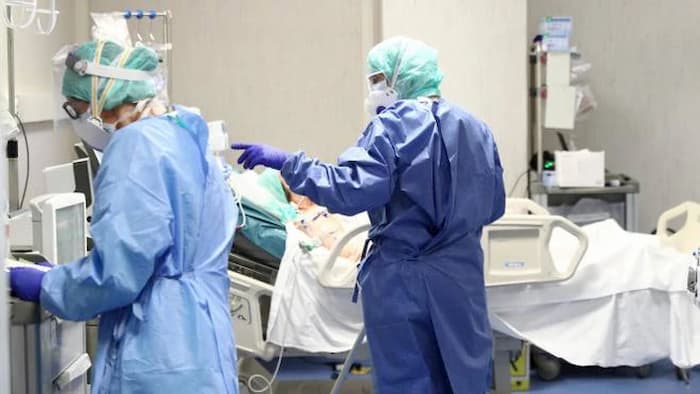 Coronavirus fine agosto