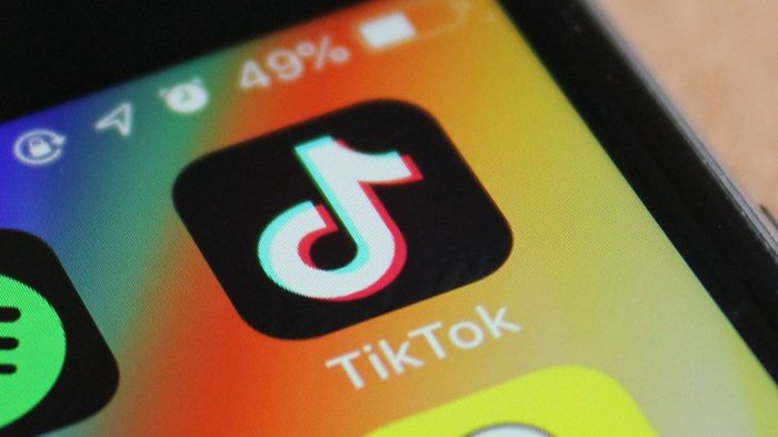 TikTok e WeChat, no download negli Usa