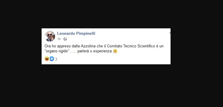 Lucia Azzolina e "l'organo rigido", il post sessista del consigliere comunale leghista