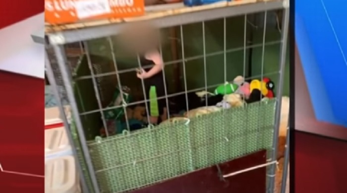 Bimbo di 18 mesi in gabbia tra topi e serpenti. I genitori: "Chiuso nel posto più sicuro"