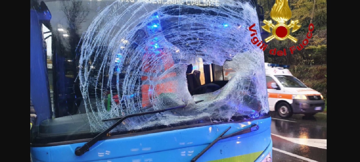 Valganna, autobus contro un cervo, parabrezza sfondato: ferito il conducente FOTO