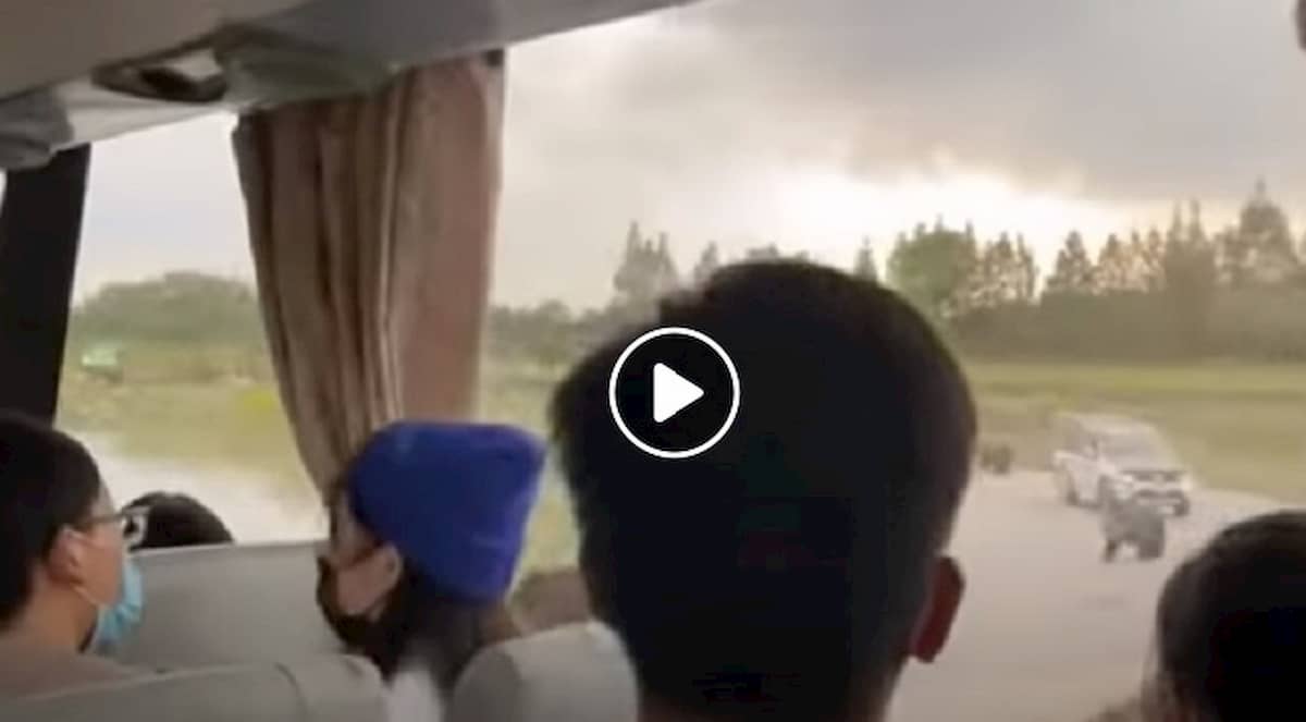 Orsi bruni sbranano guardiano dello zoo di Shanghai davanti ai turisti VIDEO