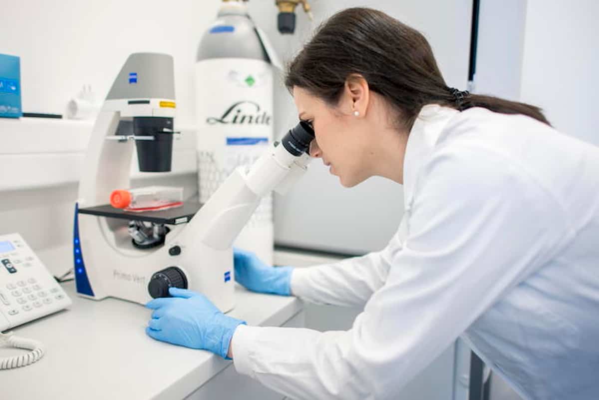 Covid, l'inverno sta arrivando: varianti rafforzano epidemia in Europa, in Sudamerica galoppa, Usa si blindano