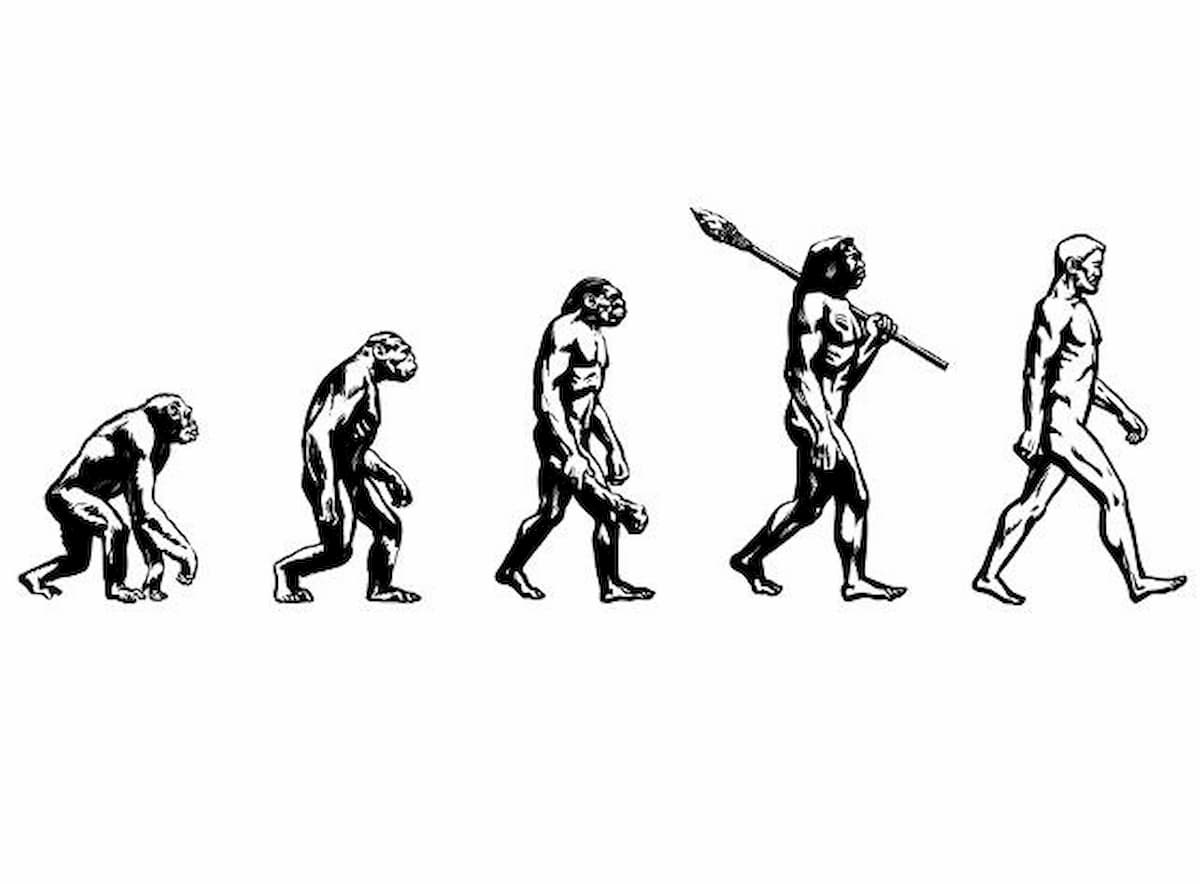 evoluzione arteria denti