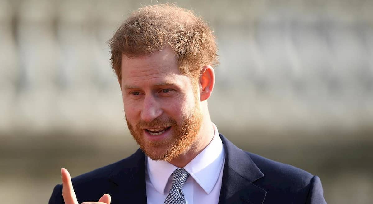 harry principe tasse usa