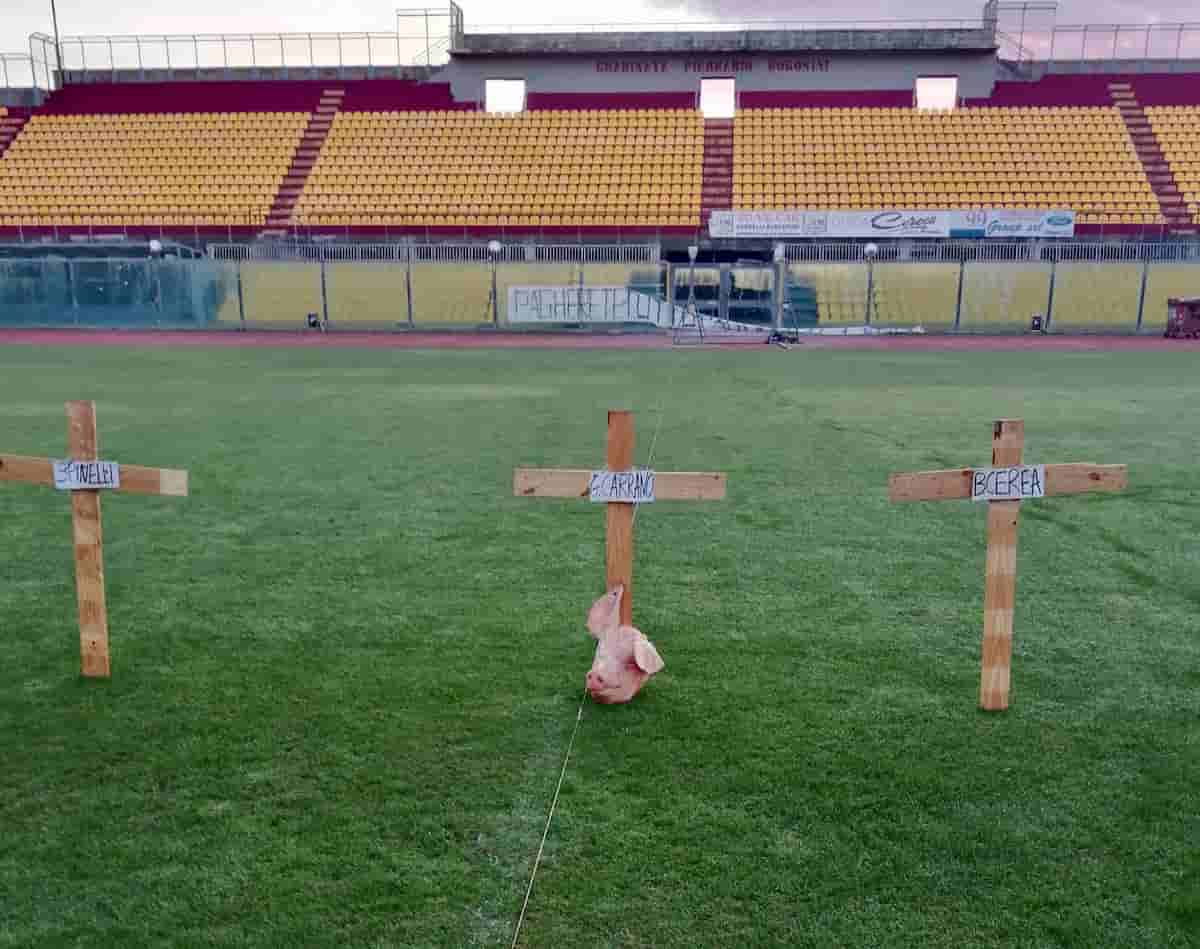 Livorno, testa di maiale e tre croci sul campo dello stadio Armando Picchi: tifosi contro la proprietà FOTO