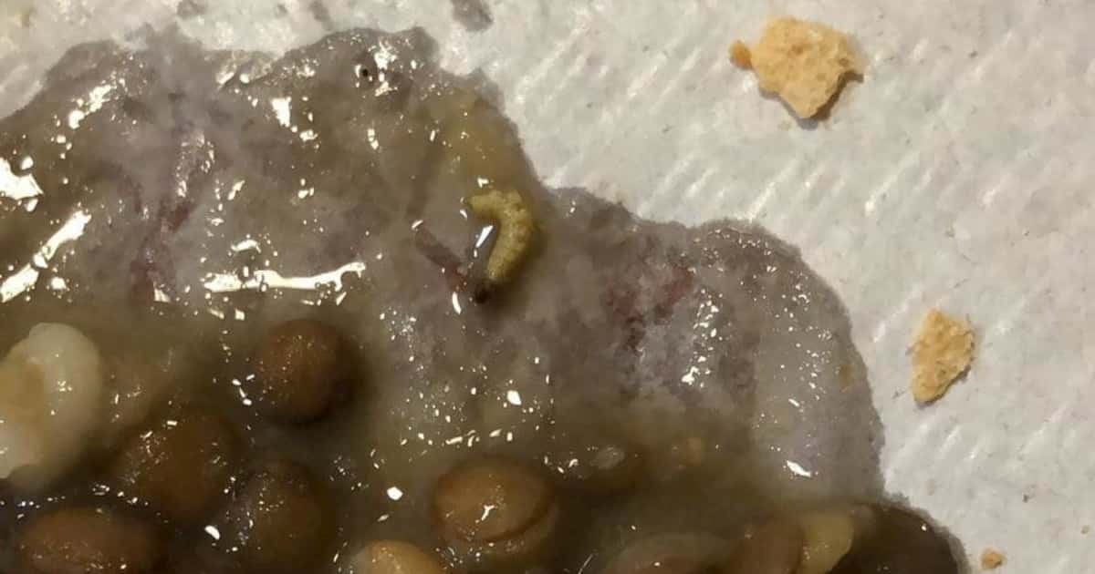 Brescia: vermi nel cibo degli agenti di Polizia Penitenziaria in carcere FOTO