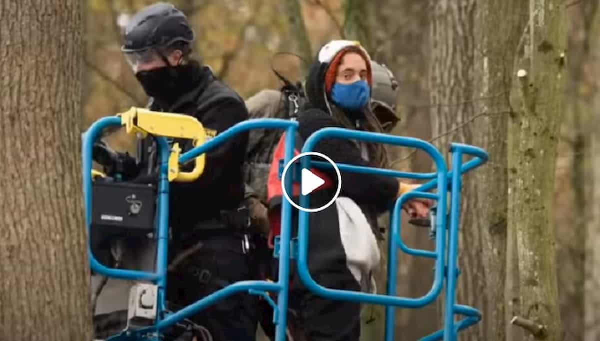 Carola Rackete fermata dalla Polizia in Germania: protestava contro l'abbattimento di alberi per costruire un'autostrada