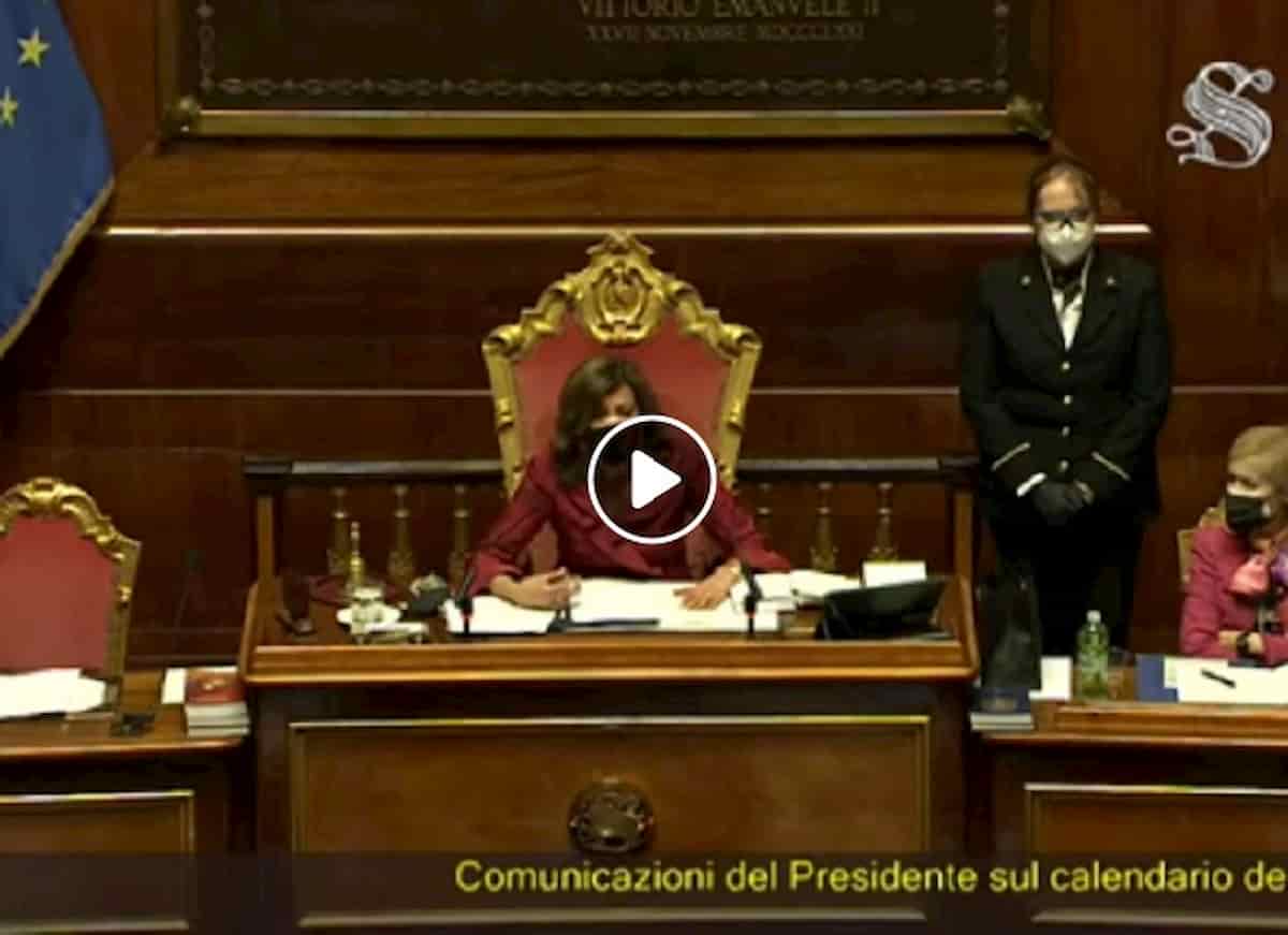 Senatore Giovanni Endrizzi (M5s) parla male di Jole Santelli (senza nominarla), la Casellati si inca... VIDEO