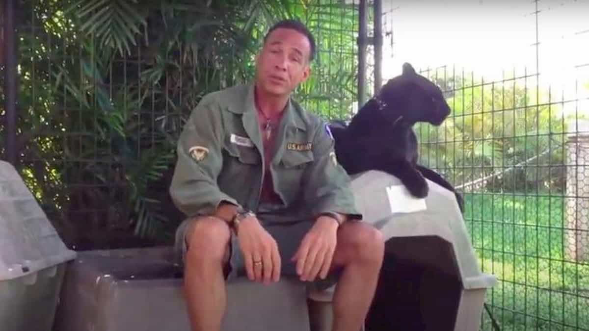 leopardo nero sbrana