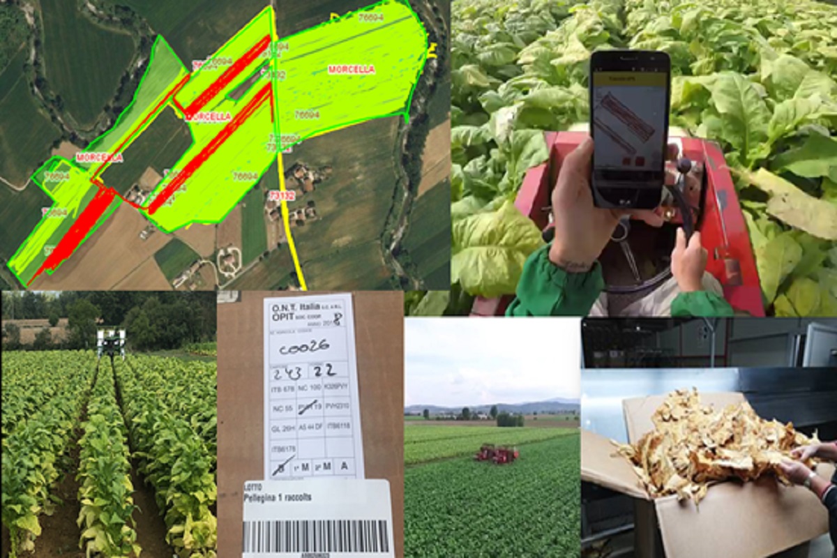 Philip Morris e l'accordo con ministero delle Politiche Agricole: 100 milioni di investimenti nel 2021