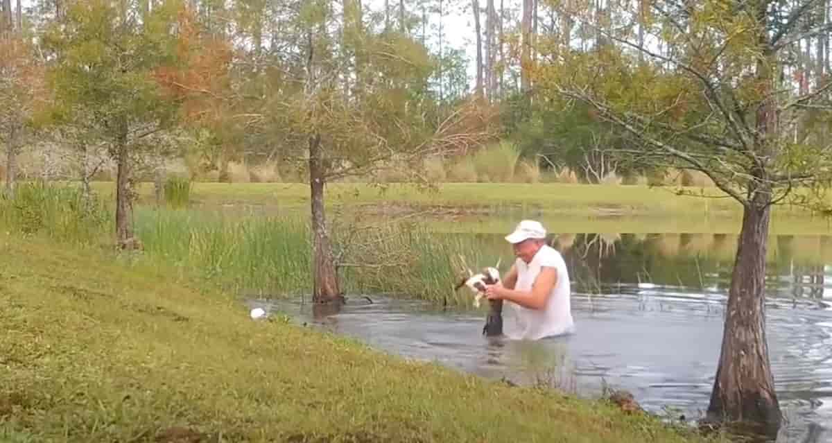 alligatore cane sigaro