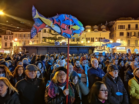 Sardine: son tornate. Ma resisteranno fino a Natale?