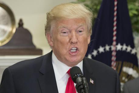 Informazione e politica, il diritto a sapere contro le bugie dei social network. Nella foto Donald Trump