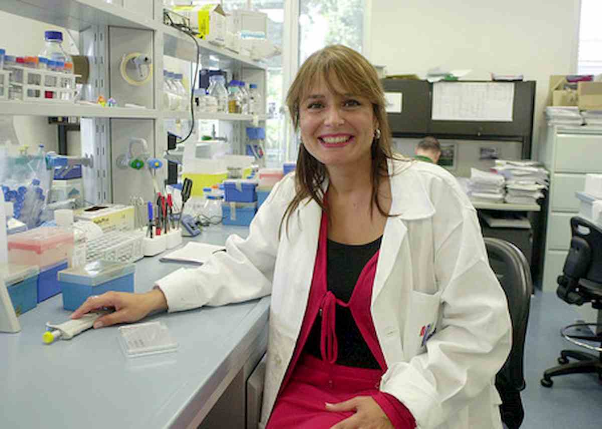 antonella viola ansa