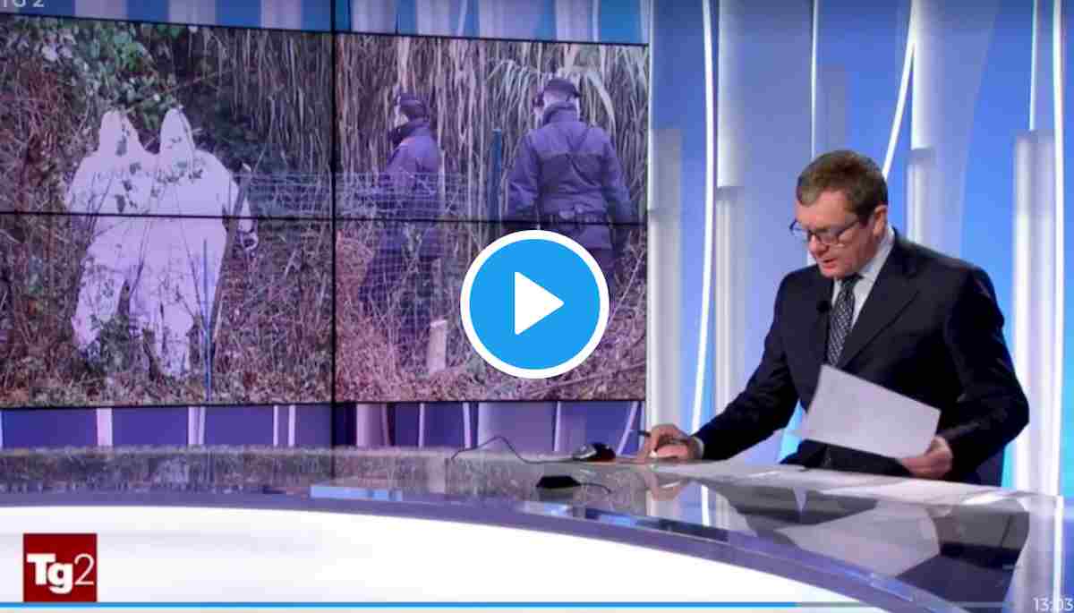 Bin Laiden, il lapsus del giornalista del Tg2 su Joe Biden fa ridere il web: "Ca... hanno scoperto il trucco"