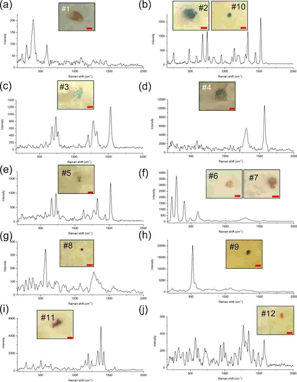 micropalstiche nella placenta