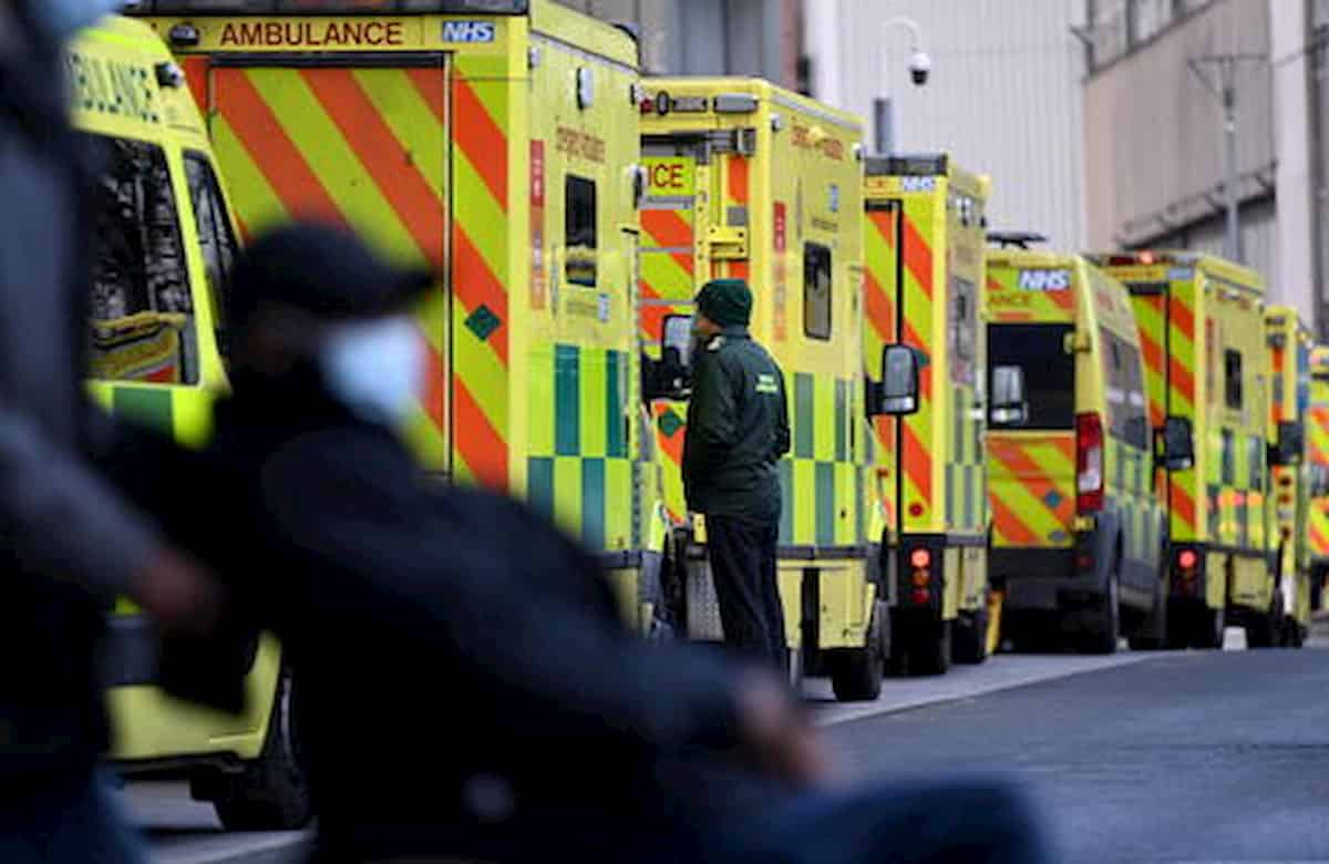 Muore reazione allergica