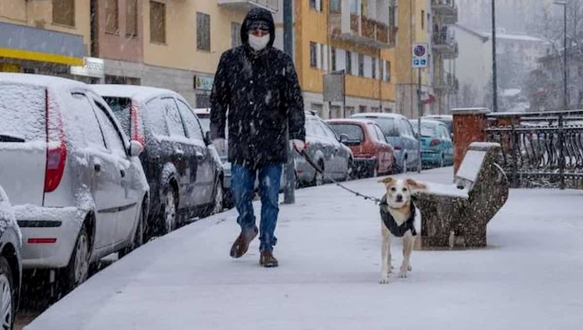 cani folgorati lombardia