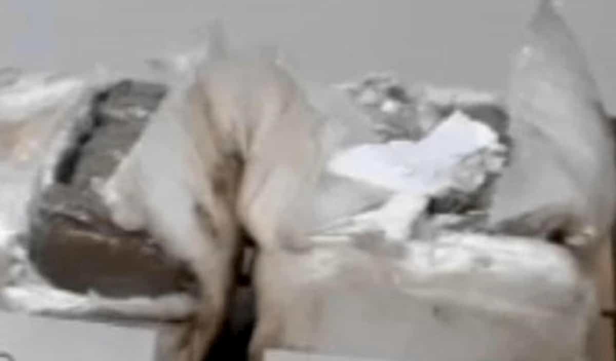 Irsina e Gravina, droga spacciata anche dalla figlia di 9 anni: mamma pusher arrestata insieme ai complici