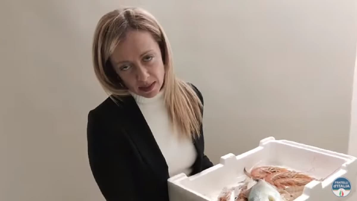 Giorgia Meloni viene chiamata "pesciarola", lei risponde con una cassetta di pesce fresco VIDEO