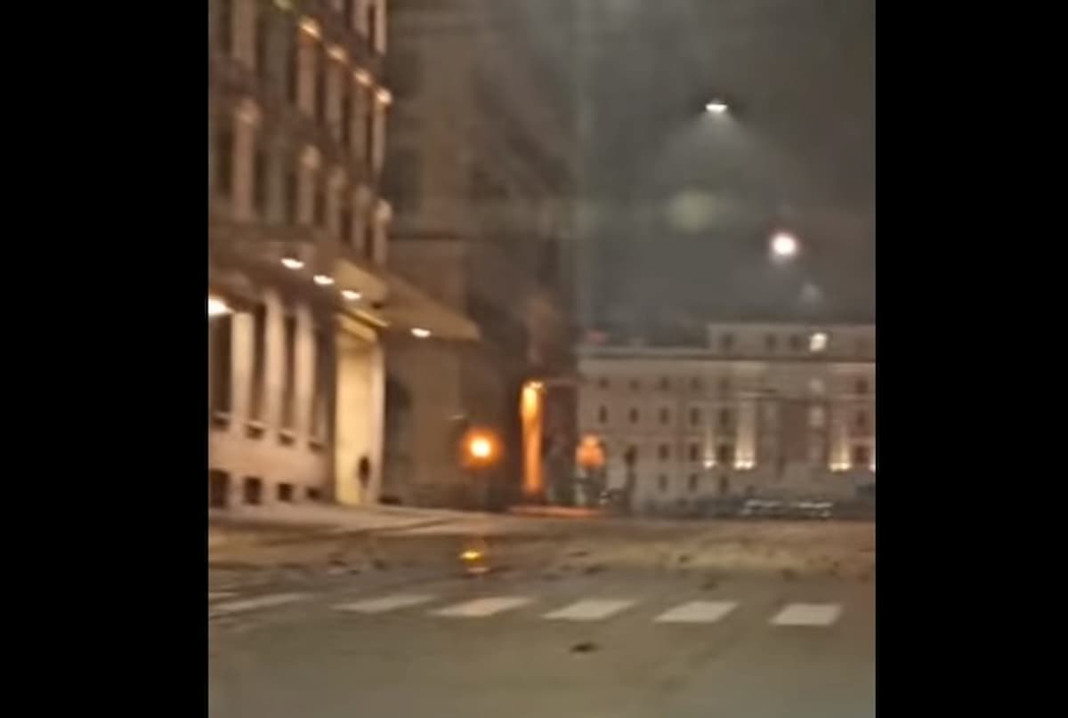 Botti di Capodanno, strage di uccelli a Roma. La Lipu: "Si sono scontrati tra loro per la paura"