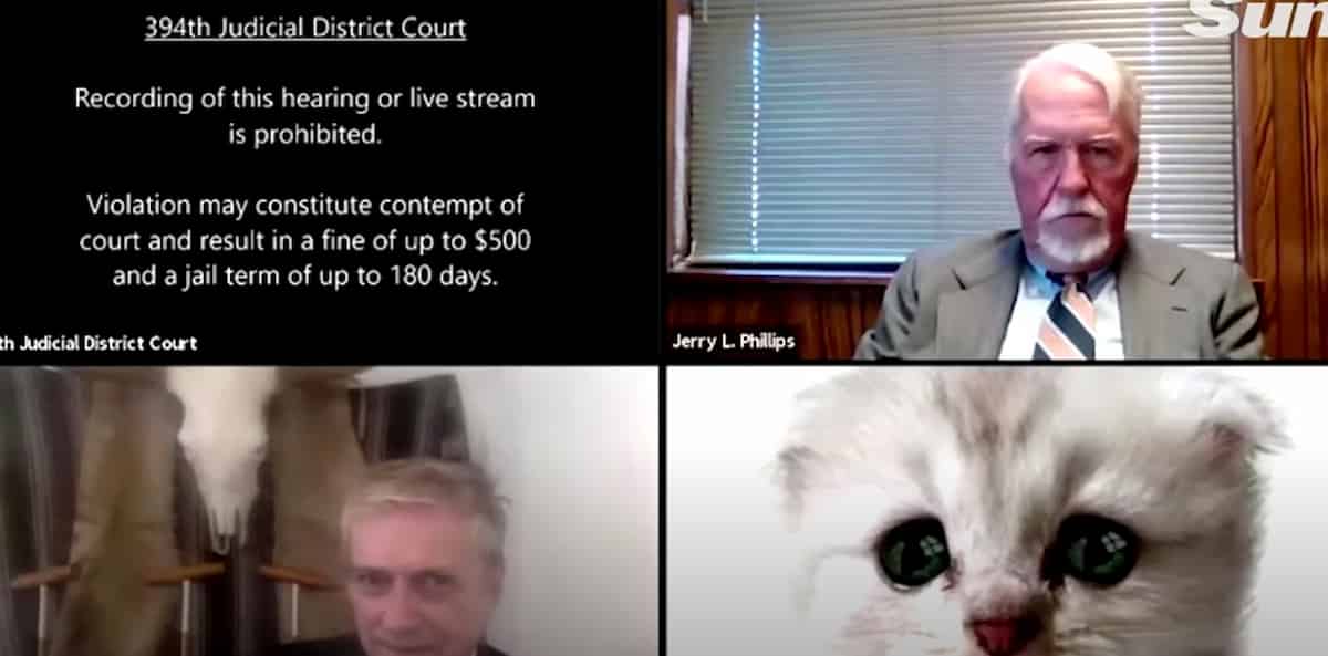 Avvocato su Zoom con il muso da gatto: non riesce a rimuovere il filtro per tutta l'udienza VIDEO