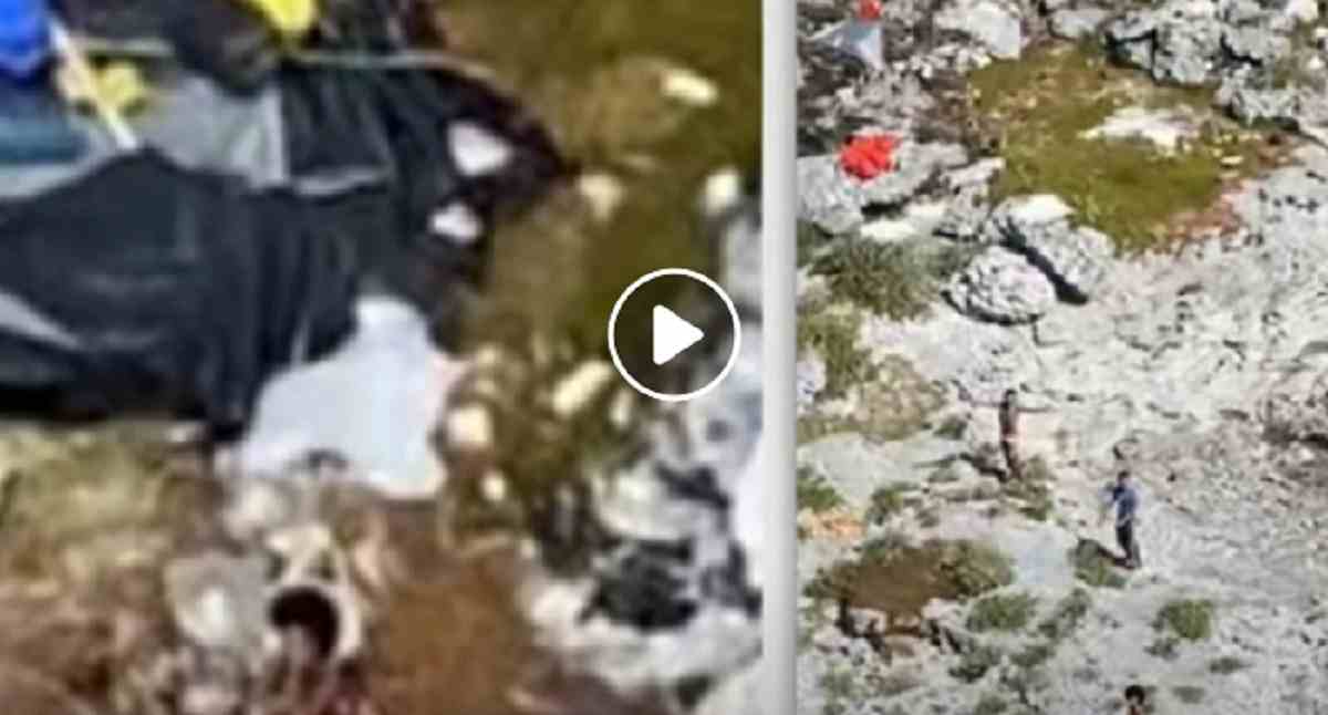 bahamas, naufraghi si nutrono di cocco e topi