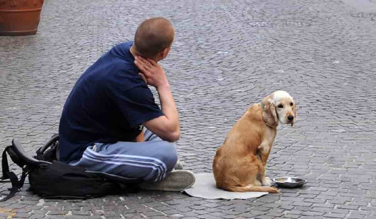 Cani adesca elemosina, Torino li vieta. E acqua e sacchetto padrone perfetto
