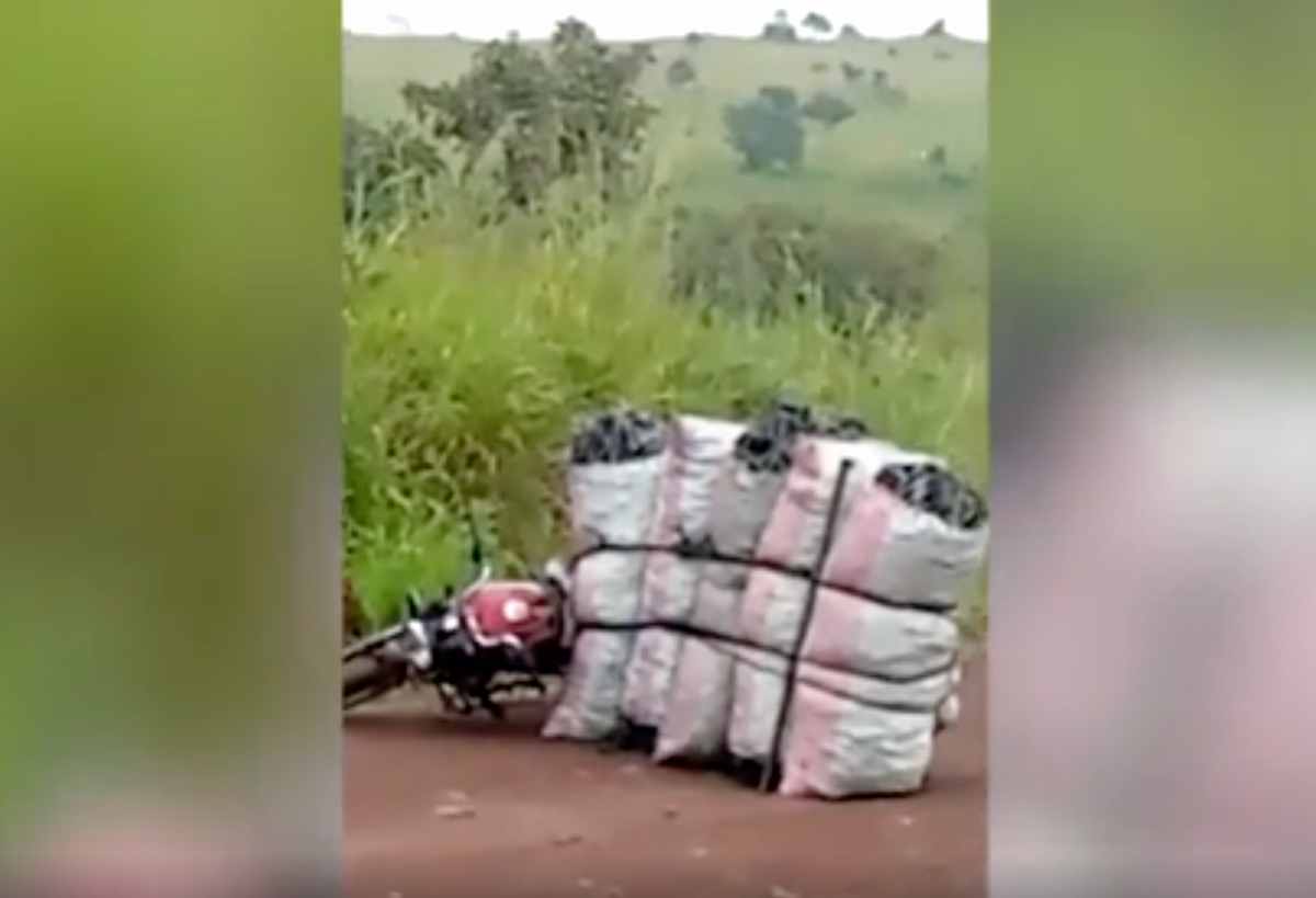 Congo, il video dell'agguato in cui sono morti l'ambasciatore Attanasio e il carabiniere Vittorio Iacovacci