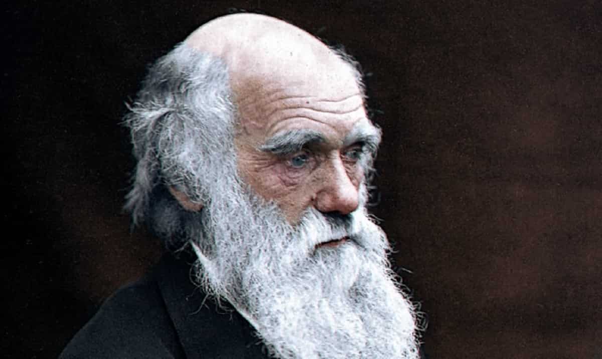 Darwin Day oggi venerdì 12 febbraio: eventi on line per il compleanno del padre dell'evoluzione