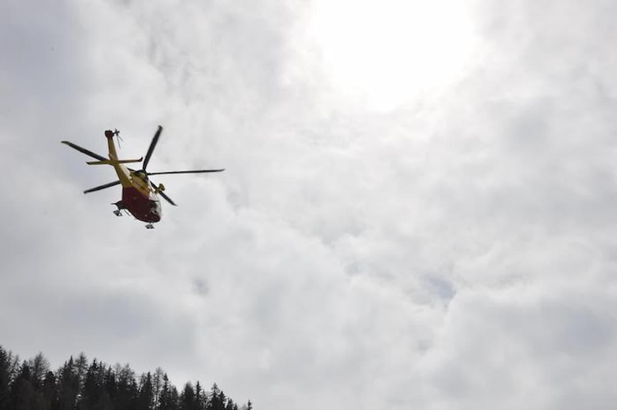 Sete notti sotto le foglie