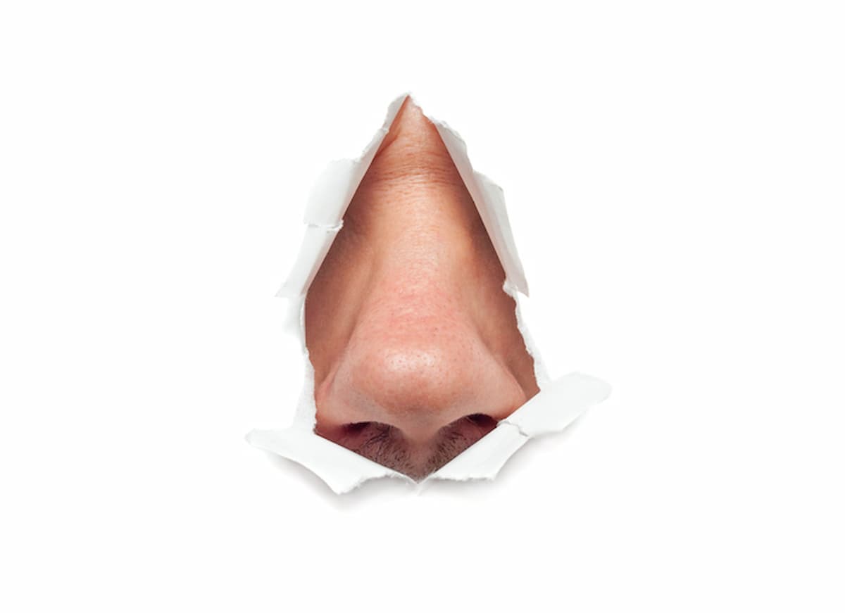 Covid sintomi: perdita di olfatto e perdita di stimolo sessuale di pari passo. Ma quale dei due causa l'altro?