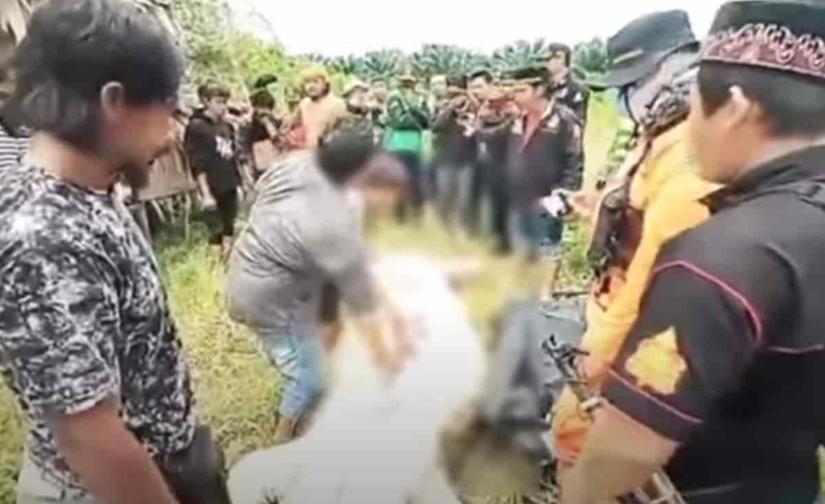 Coccodrillo di 6 metri attacca e divora un bambino di 8 anni