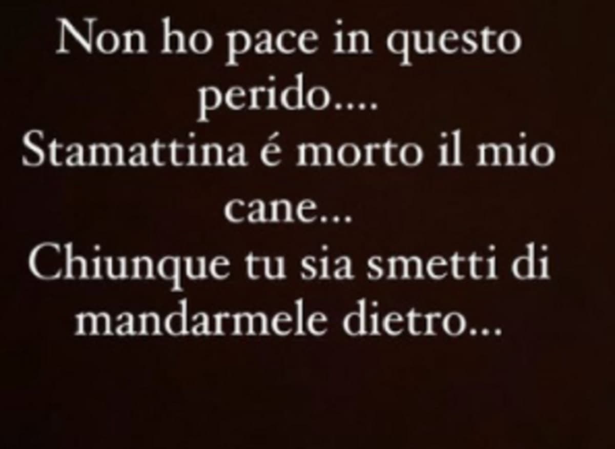 Elettra Lamborghini, è morto il suo cane. L'annuncio sui social: "Non ho pace in questo periodo"