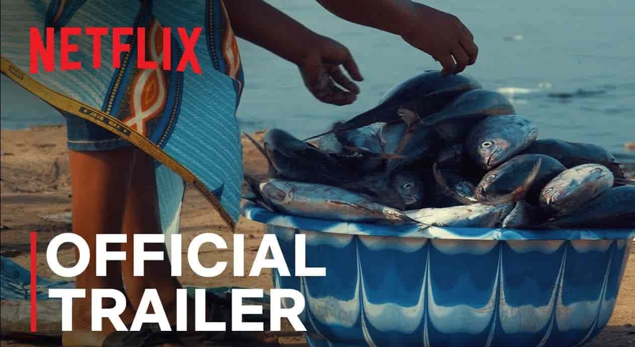 Seaspiracy, il docufilm di Ali Tabrizi distribuito da Netflix che mostra il lato oscuro della pesca