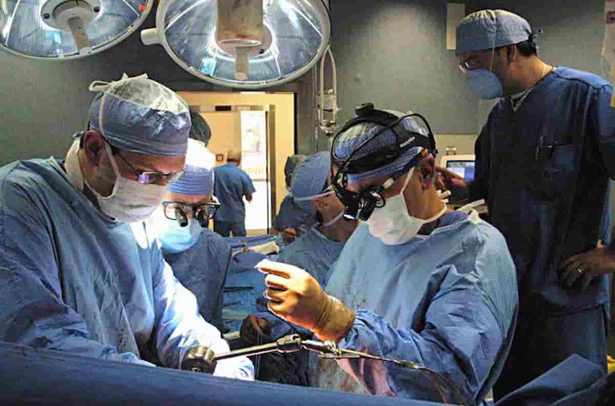 trapianto rene torino