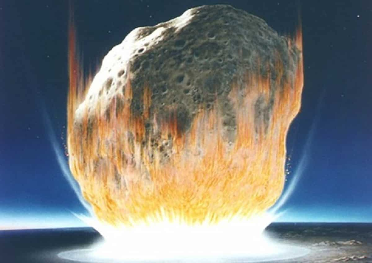 Asteroide che uccise i dinosauri cancellò anche una pianta su due e favorì la comparsa dei fiori: lo studio