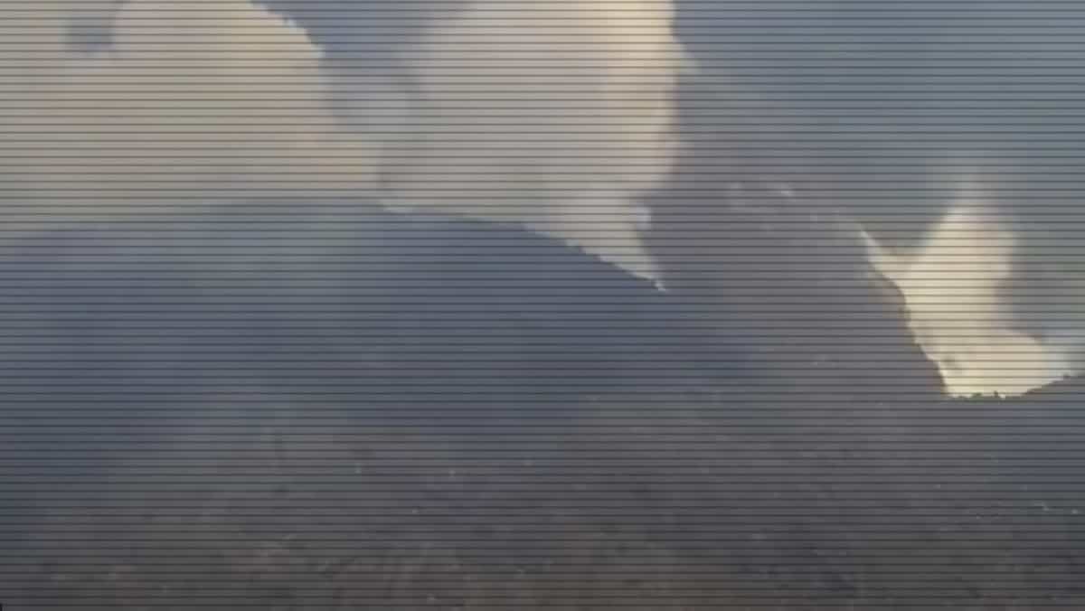 Saint Vincent, eruzione del vulcano: evacuata isola dei Caraibi. Navi da crociera in soccorso, ma solo ai vaccinati VIDEO