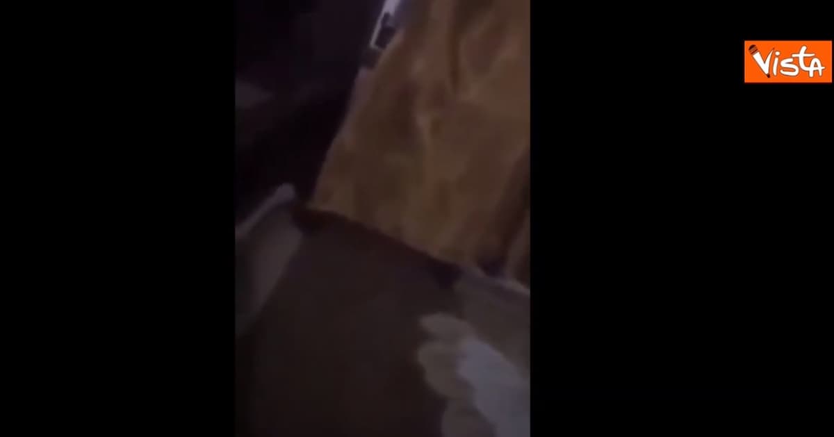 Gaza famiglia chiusa in casa durante i bombardamenti